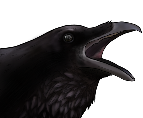 Realistic birb practise